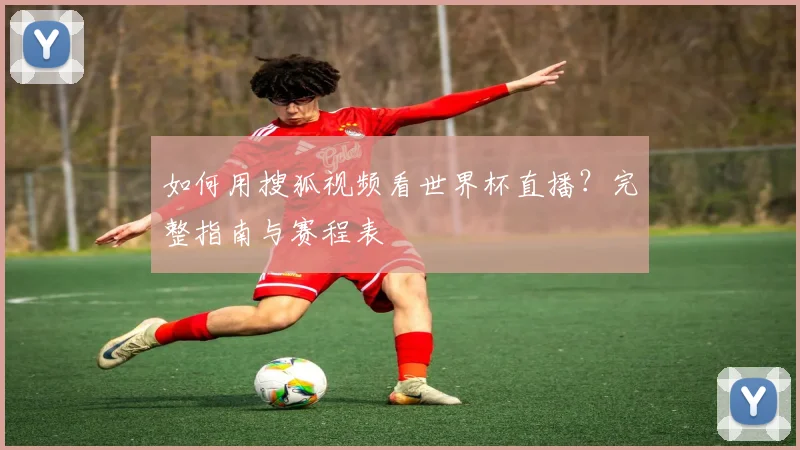 如何用搜狐视频看世界杯直播?完整指南与赛程表