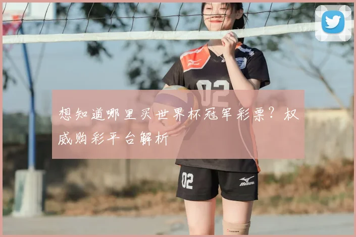 想知道哪里买世界杯冠军彩票?权威购彩平台解析