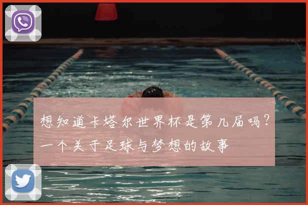 想知道卡塔尔世界杯是第几届吗?一个关于足球与梦想的故事