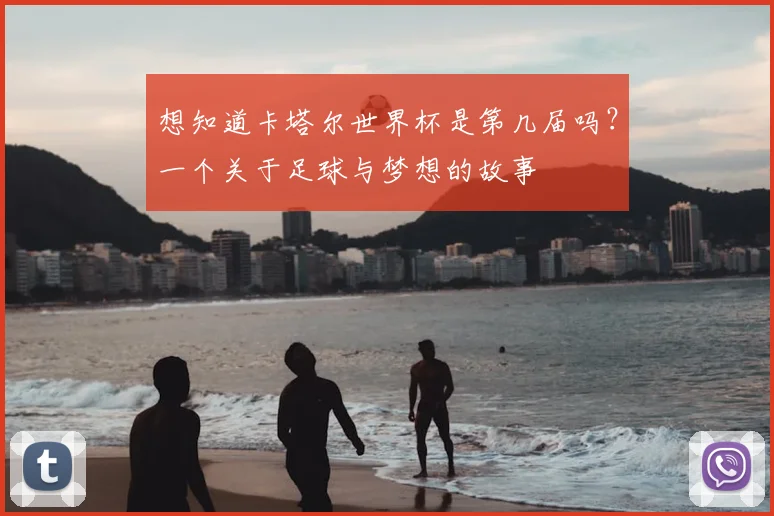 想知道卡塔尔世界杯是第几届吗?一个关于足球与梦想的故事