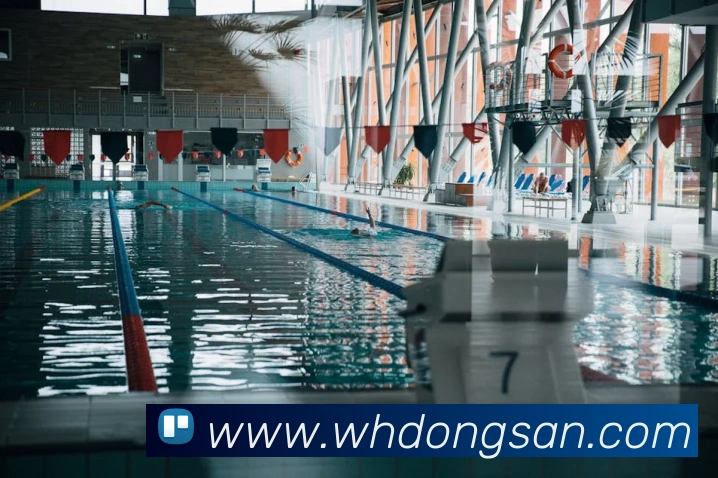 多媒体互动体验